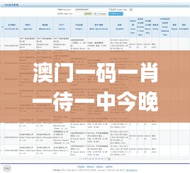 澳门一码一肖一待一中今晚,实地验证研究方案_YPB60.765养生版