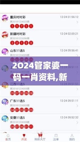 2O24管家婆一码一肖资料,新技术推动方略_RXE60.209私人版