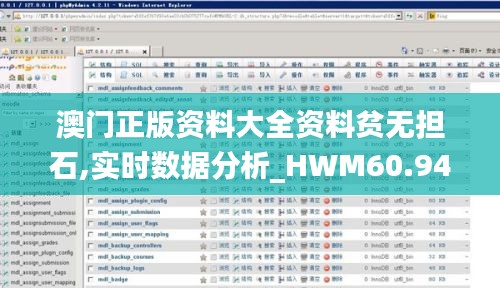 澳门正版资料大全资料贫无担石,实时数据分析_HWM60.940媒体版