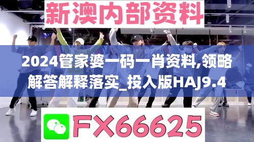 2024管家婆一码一肖资料,领略解答解释落实_投入版HAJ9.46