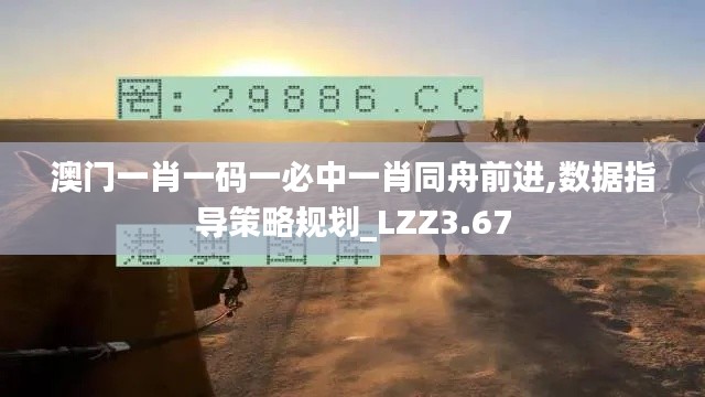 澳门一肖一码一必中一肖同舟前进,数据指导策略规划_LZZ3.67