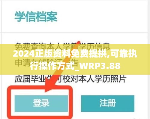 2024正版资料免费提拱,可靠执行操作方式_WRP3.88