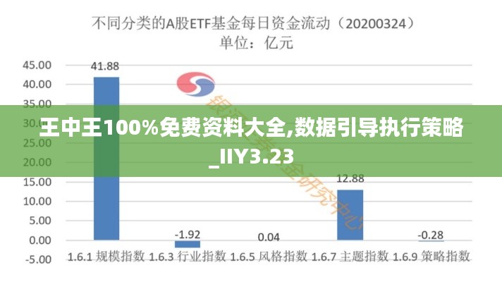 王中王100%免费资料大全,数据引导执行策略_IIY3.23