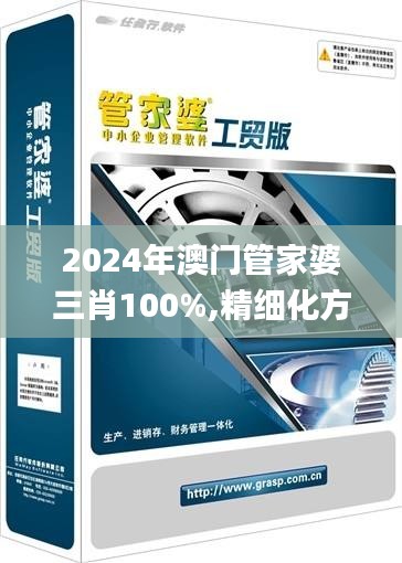 2024年澳门管家婆三肖100%,精细化方案决策_OIS3.19