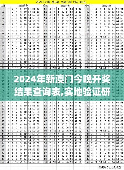 2024年新澳门今晚开奖结果查询表,实地验证研究方案_ZHD3.65