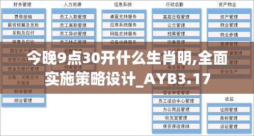 今晚9点30开什么生肖明,全面实施策略设计_AYB3.17