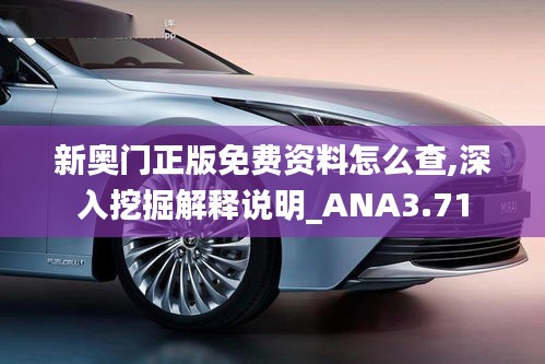 新奥门正版免费资料怎么查,深入挖掘解释说明_ANA3.71