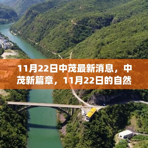 11月22日中茂最新消息，中茂新篇章，11月22日的自然探索之旅，寻找内心的宁静与风景的诗意