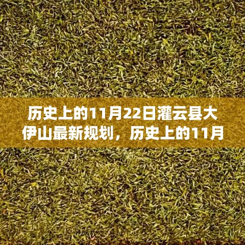 历史上的11月22日灌云县大伊山最新规划，历史上的11月22日灌云县大伊山最新规划步骤指南