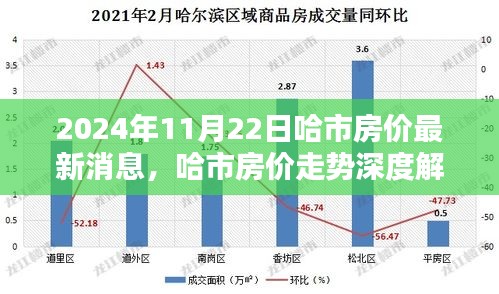 2024年11月22日哈市房价最新消息，哈市房价走势深度解析，聚焦2024年11月22日的最新动态与观点博弈