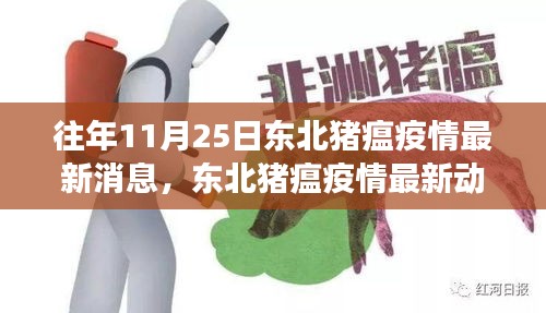 东北猪瘟疫情最新动态与深度解析，进展与要点回顾（往年11月25日更新）