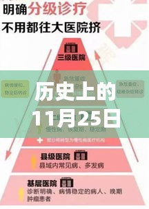 历史上的11月25日，医疗事故处理条例的最新演变与标准