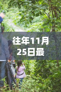 往年11月25日最新男神团，最新男神团，与自然美景的不解之缘，寻找内心的宁静与平和