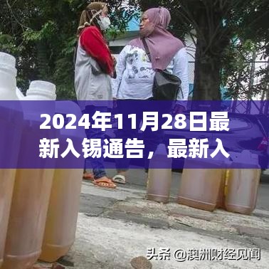 最新入锡通告操作指南，初学者与进阶用户适用（2024年11月28日版）