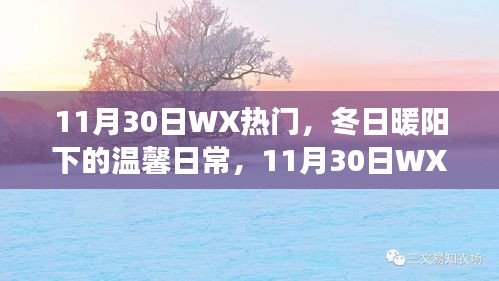 冬日暖阳下的温馨日常，11月30日WX热门小故事