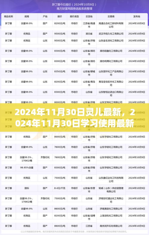 2024年11月30日最新灵儿软件使用指南，初学者与进阶用户必备