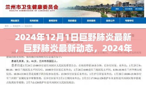 2024年12月1日巨野肺炎最新动态与深度解析