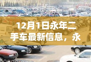 永年二手车市场最新动态解析，市场风云再起，12月1日最新信息速递