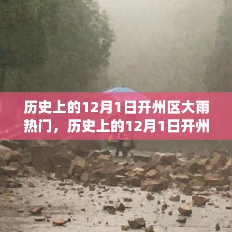 历史上的12月1日开州区大雨现象深度解析与评测