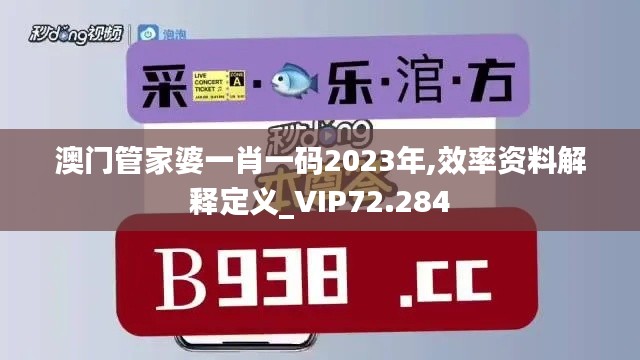 澳门管家婆一肖一码2023年,效率资料解释定义_VIP72.284