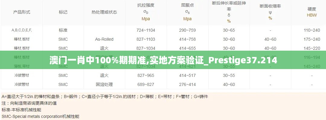 澳门一肖中100%期期准,实地方案验证_Prestige37.214