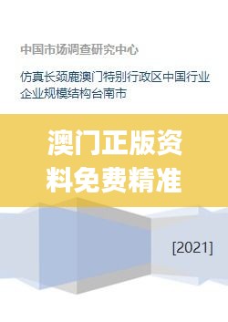 澳门正版资料免费精准,仿真技术方案实现_C版28.521