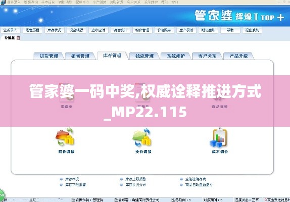 管家婆一码中奖,权威诠释推进方式_MP22.115