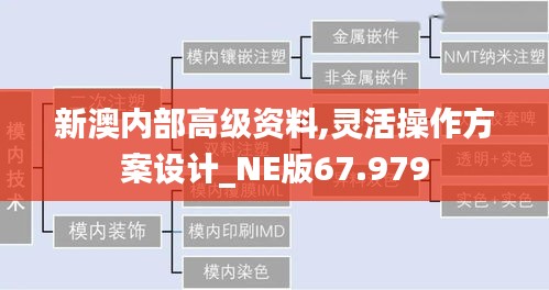 新澳内部高级资料,灵活操作方案设计_NE版67.979