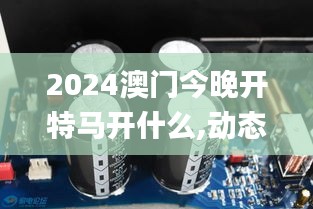 2024澳门今晚开特马开什么,动态说明解析_XP45.125