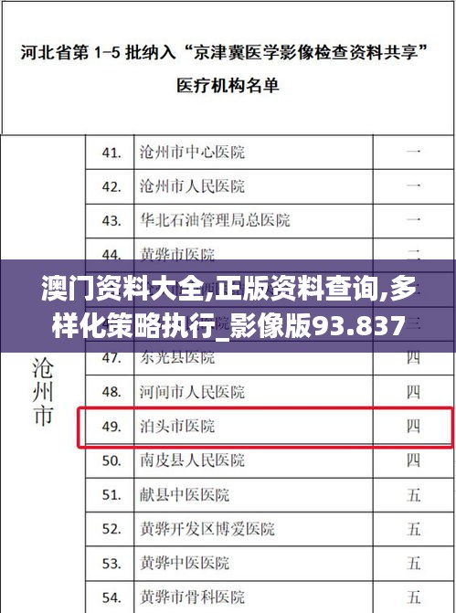 澳门资料大全,正版资料查询,多样化策略执行_影像版93.837