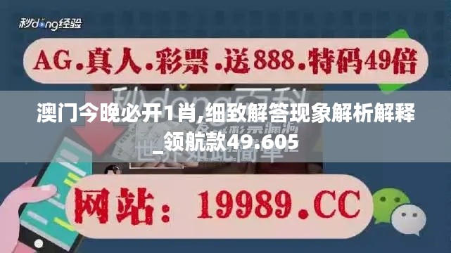 澳门今晚必开1肖,细致解答现象解析解释_领航款49.605