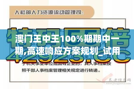 澳门王中王100%期期中一期,高速响应方案规划_试用版77.420