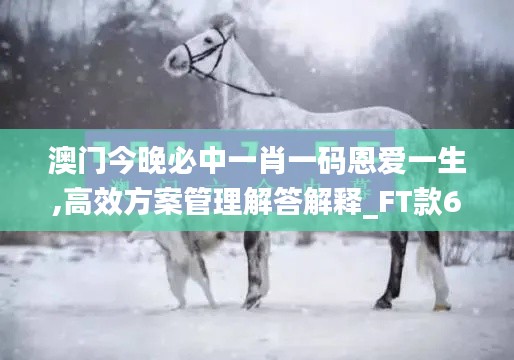 澳门今晚必中一肖一码恩爱一生,高效方案管理解答解释_FT款64.807