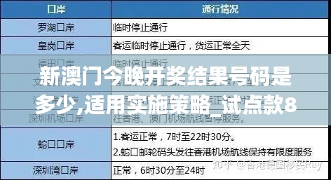 新澳门今晚开奖结果号码是多少,适用实施策略_试点款89.468