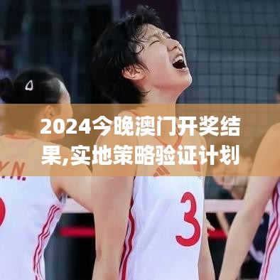 2024今晚澳门开奖结果,实地策略验证计划_粉丝款18.543