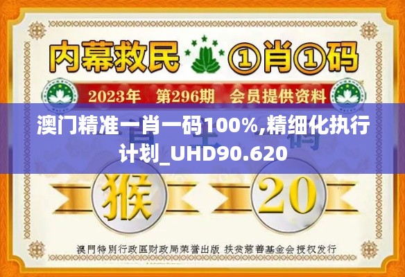 澳门精准一肖一码100%,精细化执行计划_UHD90.620