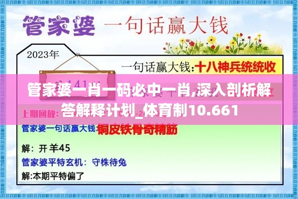 管家婆一肖一码必中一肖,深入剖析解答解释计划_体育制10.661