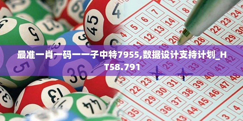 最准一肖一码一一子中特7955,数据设计支持计划_HT58.791