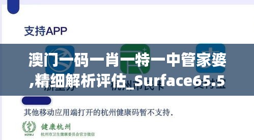 澳门一码一肖一特一中管家婆,精细解析评估_Surface65.519