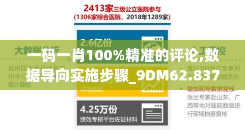 一码一肖100%精准的评论,数据导向实施步骤_9DM62.837