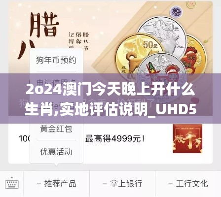 2o24澳门今天晚上开什么生肖,实地评估说明_UHD54.169