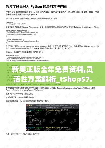 新奥正版全年免费资料,灵活性方案解析_tShop57.10