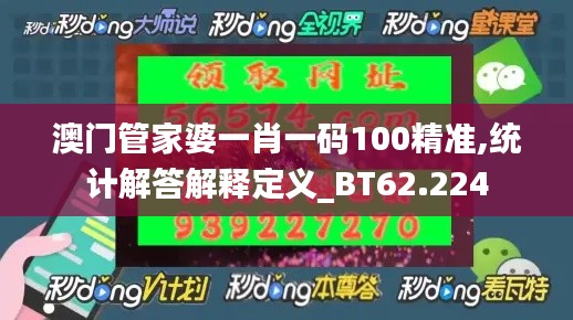 澳门管家婆一肖一码100精准,统计解答解释定义_BT62.224