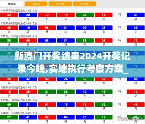 新澳门开奖结果2024开奖记录今晚,实地执行考察方案_顶级款32.728