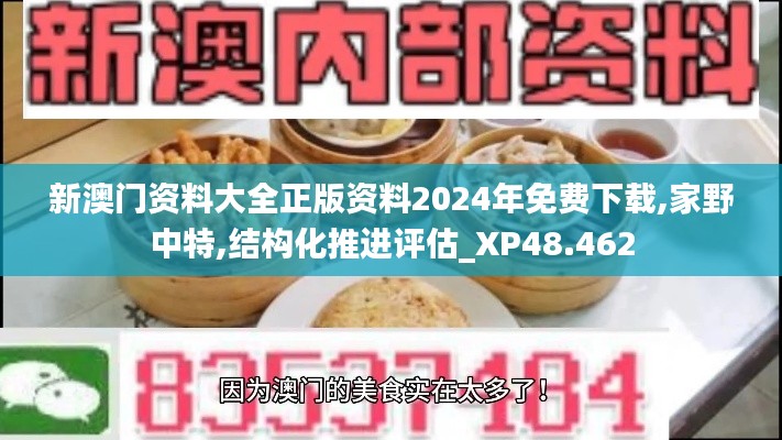 新澳门资料大全正版资料2024年免费下载,家野中特,结构化推进评估_XP48.462