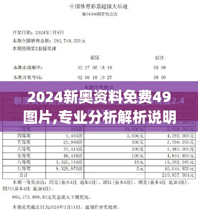 2024新奥资料免费49图片,专业分析解析说明_移动版92.748