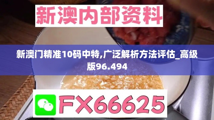 新澳门精准10码中特,广泛解析方法评估_高级版96.494