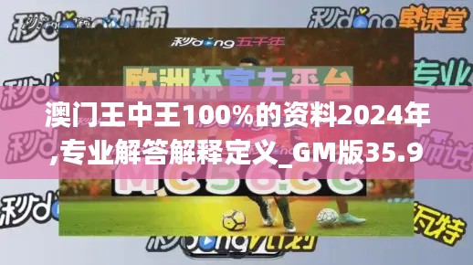 澳门王中王100%的资料2024年,专业解答解释定义_GM版35.913