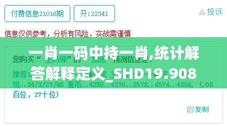 一肖一码中持一肖,统计解答解释定义_SHD19.908