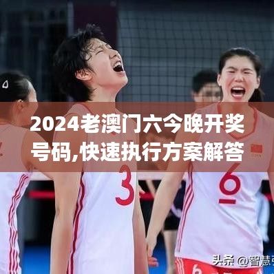 2024老澳门六今晚开奖号码,快速执行方案解答_经典版41.90